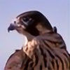 Wingshifter's avatar