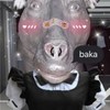 WinoDouh's avatar