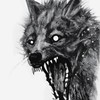 Winterwolftaxidermy's avatar