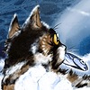 WinterWrite's avatar