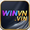 winvnvin's avatar