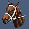 WinxStudios's avatar