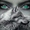 Wisewolf4ever's avatar