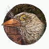 WishingArrow's avatar
