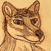 Wiwaxiorca's avatar