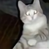 Wojigairon's avatar