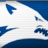 wolf-nv's avatar