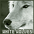 Wolf-pack-leader's avatar