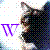 wolf128's avatar