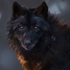 wolf720p's avatar