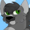WolfCubQWQ's avatar