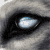 wolfforce58's avatar
