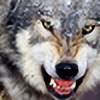 WolfGirl1010165's avatar