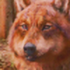 WolfGrindle's avatar