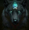 Wolfgrrl5x5's avatar