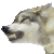 Wolfheart-pt's avatar