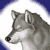 wolfiegirl97's avatar