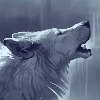 Wolfkali2's avatar