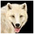 WolfKaren's avatar