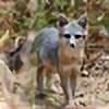 Wolflover1603's avatar