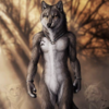 WolfLoverNineteen's avatar