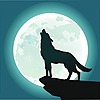 WolfMoon25's avatar