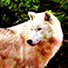 wolfndog's avatar