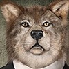wolfnightmareshadow's avatar
