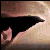 WolfOfMoonlight's avatar