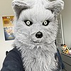 wolfplayer16's avatar