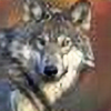 Wolfplz's avatar
