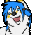 Wolfquest12's avatar
