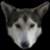wolfridersfla's avatar