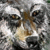 Wolfrug's avatar