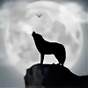 WolfRunner17's avatar