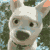 WolfsBaneDogDrawer's avatar
