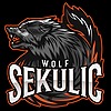 WolfSekulic's avatar