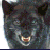 WolfsLove's avatar