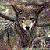 Wolfsong98's avatar