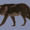 WolfSoul1993's avatar