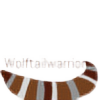 WolftailWarrior's avatar
