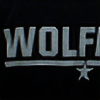 WolfTheAviator's avatar