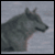 WolfWishes's avatar