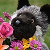 Wolfy491's avatar