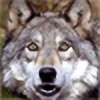 wolfyblue's avatar
