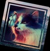 wolfygamer4509's avatar