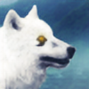 Wolven-Wonderland's avatar