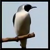 Woodswallow's avatar
