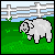 wooly-sheep1's avatar