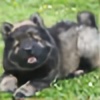 wowhow's avatar